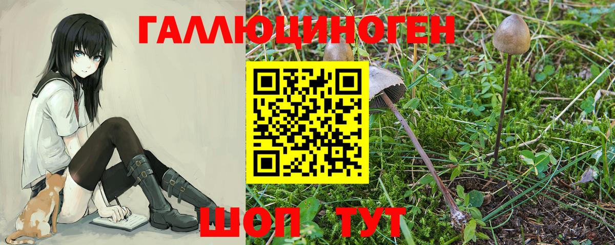Псилоцибиновые грибы прущие грибы  купить наркоту  Лиски  Вход с VPN 